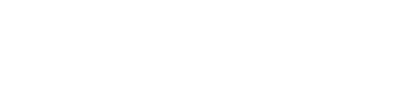 삼성전자